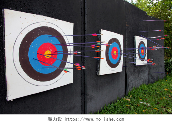 射击场中靶的靶心目标射箭和许多箭头.